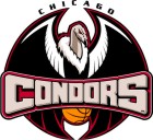 condors.gif (11605 bytes)